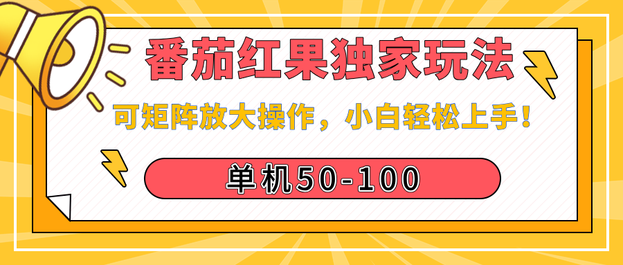 番茄红果独家玩法，单机50-100，可矩阵放大操作，小白轻松上手！-炫知网