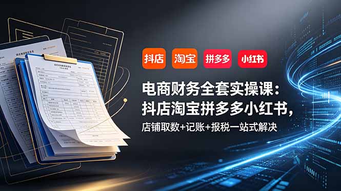电商财务全套实操课:抖店淘宝拼多多小红书,店铺取数+记账+报税一站式解决-休闲学社