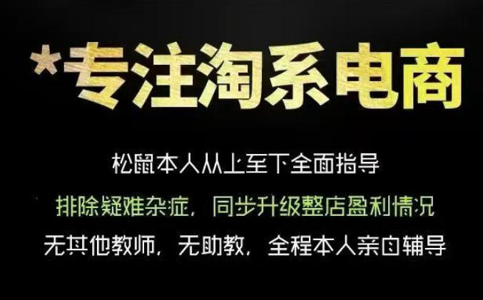 松鼠会电商VIP课程,从基础布局到高阶优化,助你掌握淘宝运营逻辑,提升店铺流量与转化-休闲学社