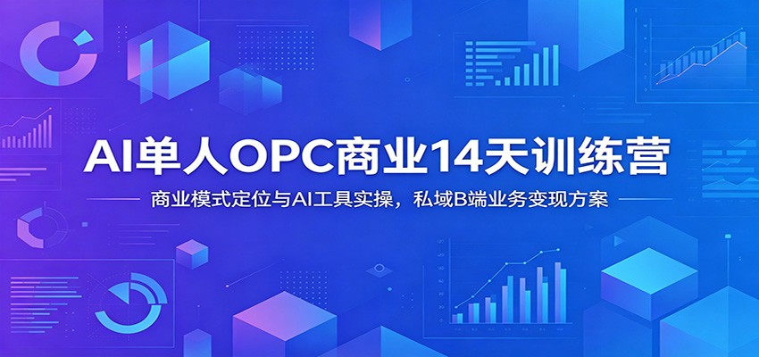 AI单人OPC商业14天训练营:商业模式定位与AI工具实操,私域B端业务变现方案-休闲学社