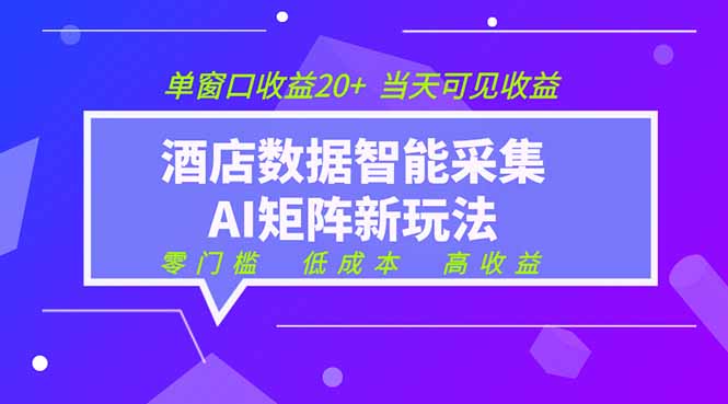 2026酒店数据采集ai智能矩阵新风口  低成本   高收益   当天见收益   单窗口20+-休闲学社