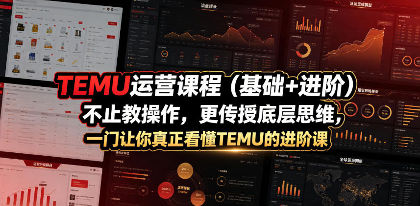 TEMU运营课程(基础+进阶)，不止教操作，更传授底层思维，一门让你真正看懂TEMU的进阶课-休闲学社