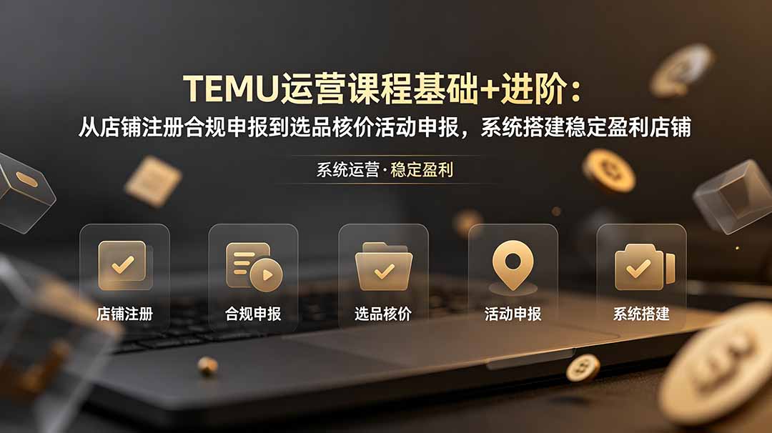 TEMU运营课程(基础+进阶-休闲学社